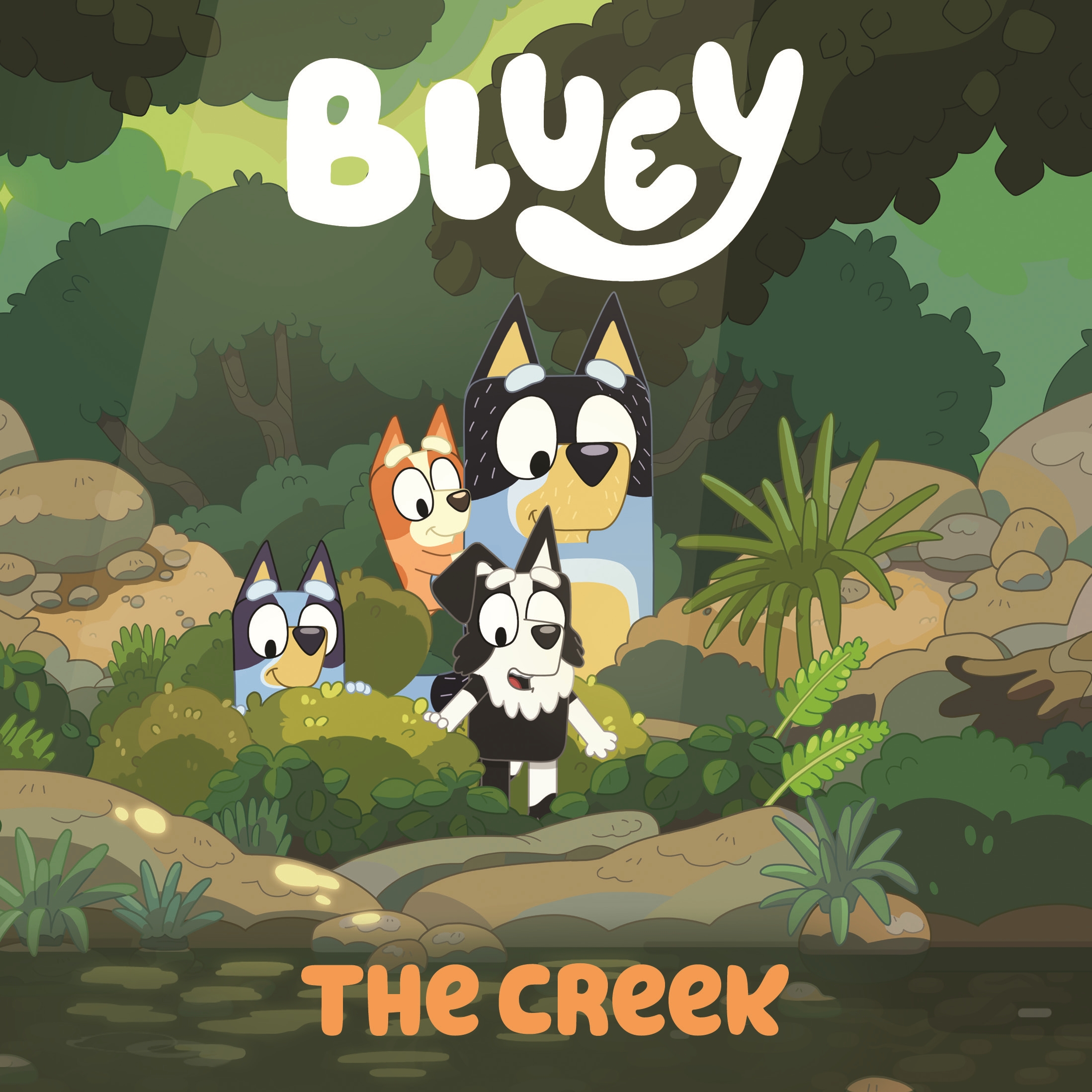 Bluey book cover