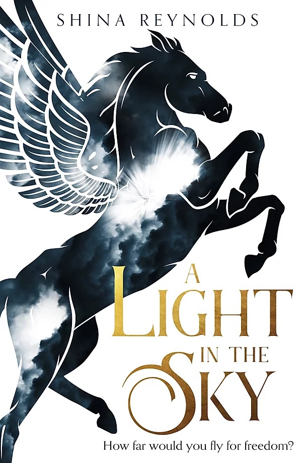 A Light in the Sky (Clashing Skies, #1)