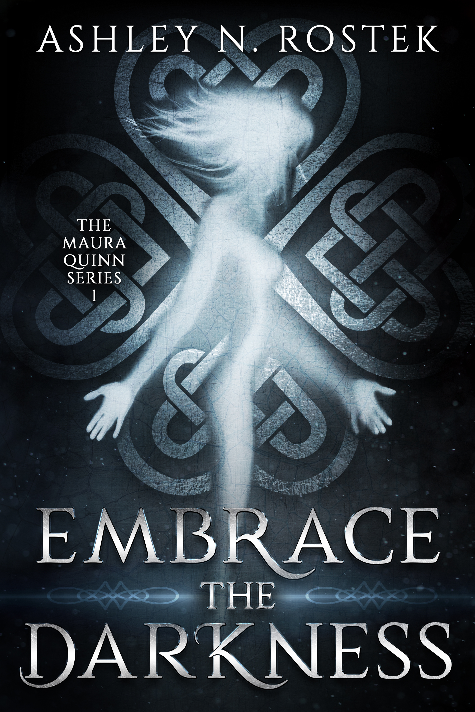 Embrace the Darkness (Maura Quinn #1)