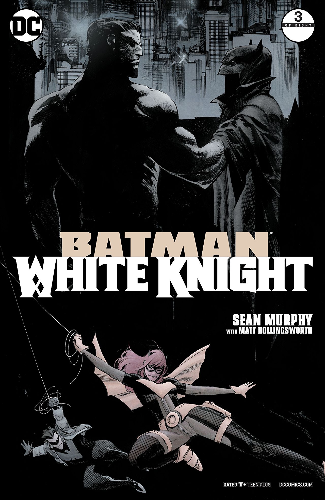 Batman book cover