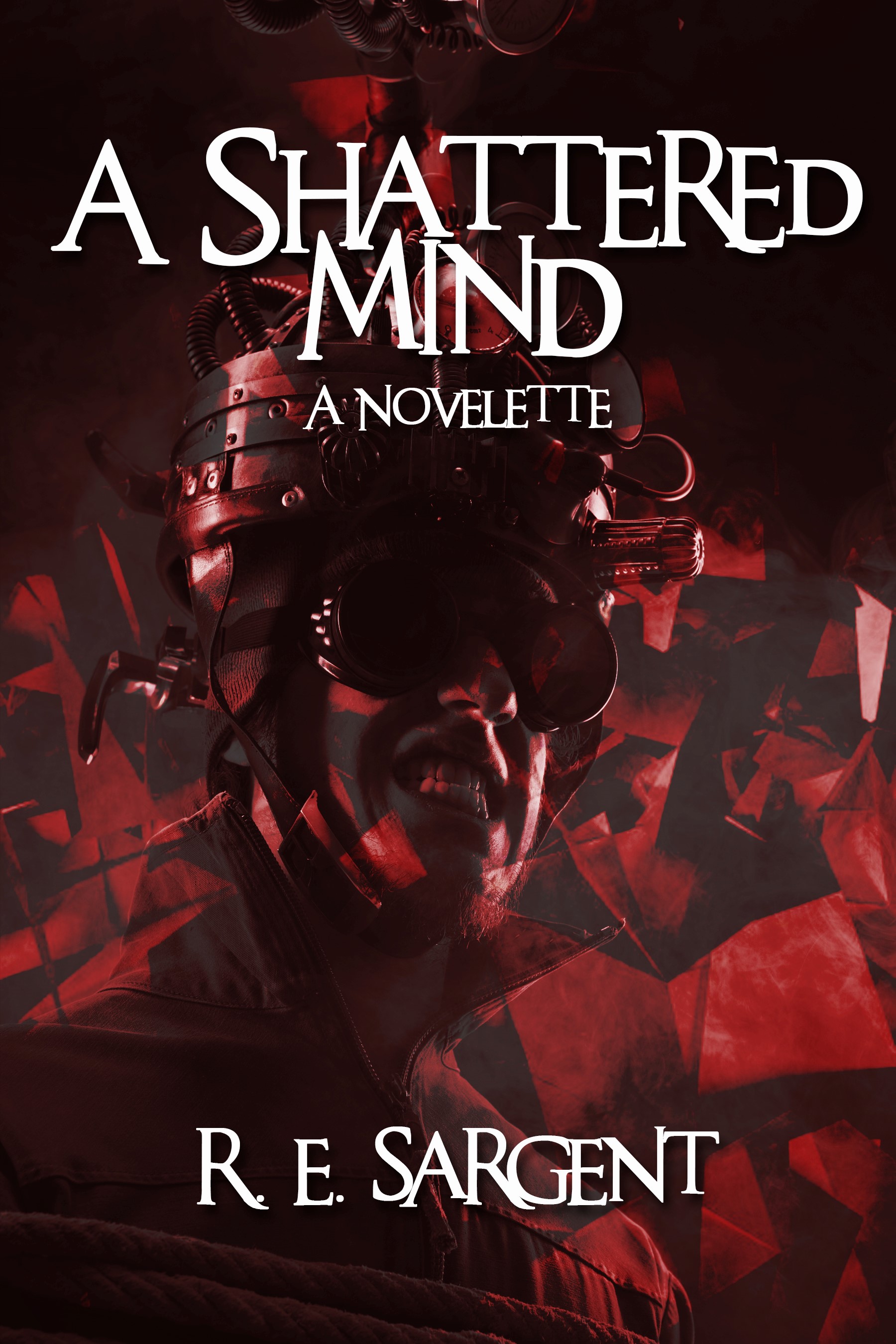 A Shattered Mind book cover