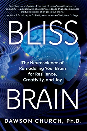 Bliss Brain: The Neuroscience of Remodeling Your Brain for Resilience, Creativity, and Joy