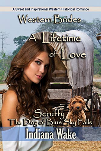 A Lifetime of Love book cover