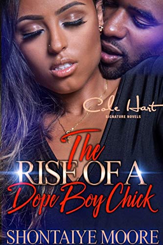 The Rise Of A Dope Boy Chick book cover