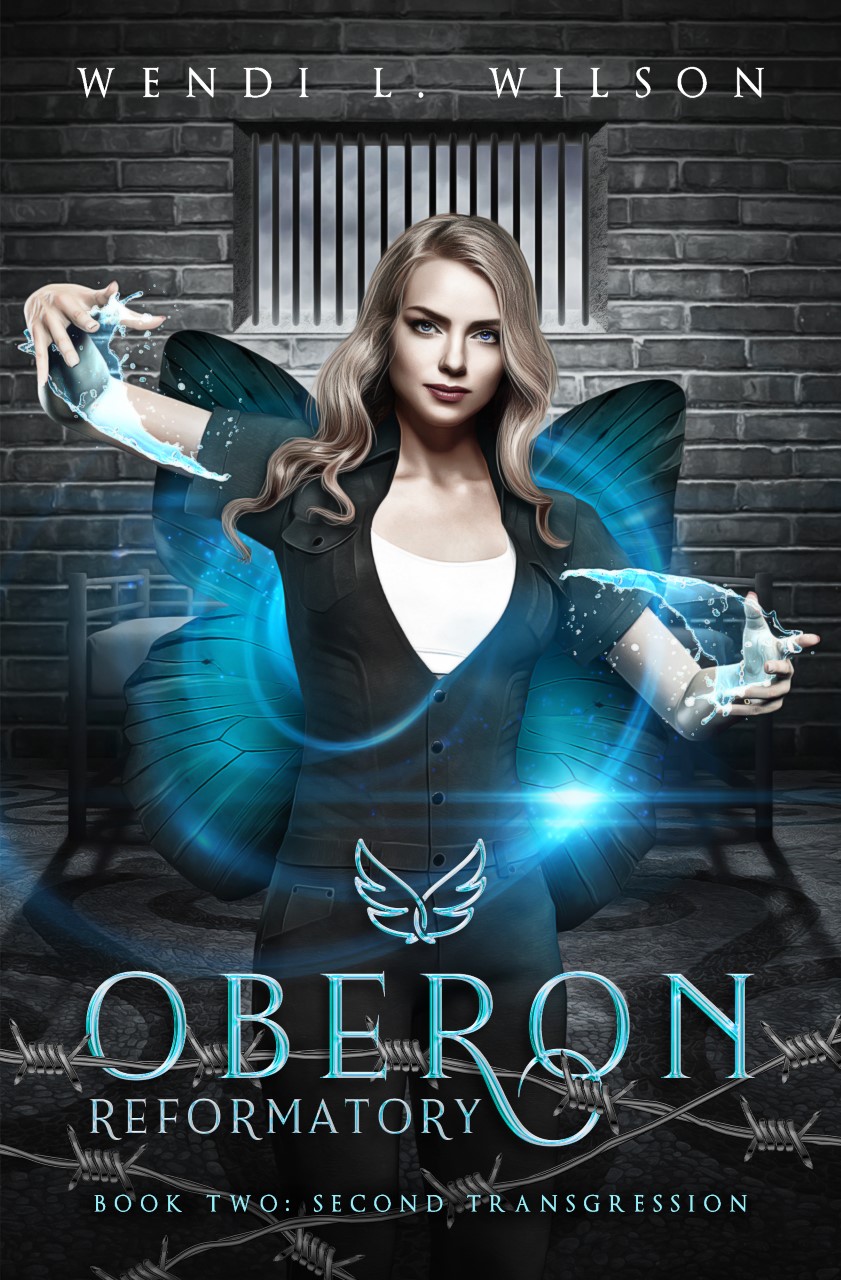 Second Transgression book cover