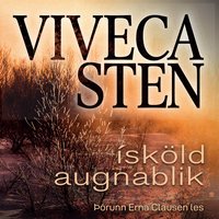Ísköld augnablik book cover