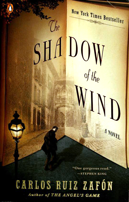 The Shadow of the Wind (The Cemetery of Forgotten Books, #1)