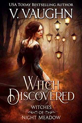 Witch Discovered book cover