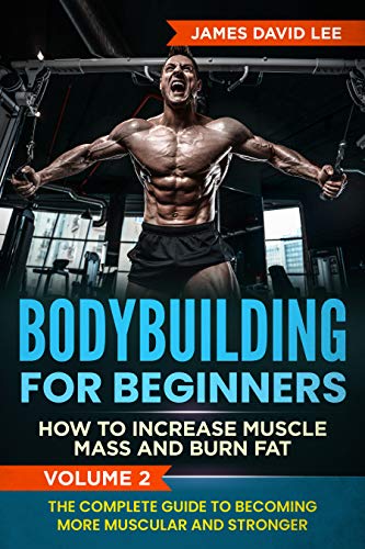 Bodybuilding for Beginners: How To Increase Muscle Mass And Burn Fat ...