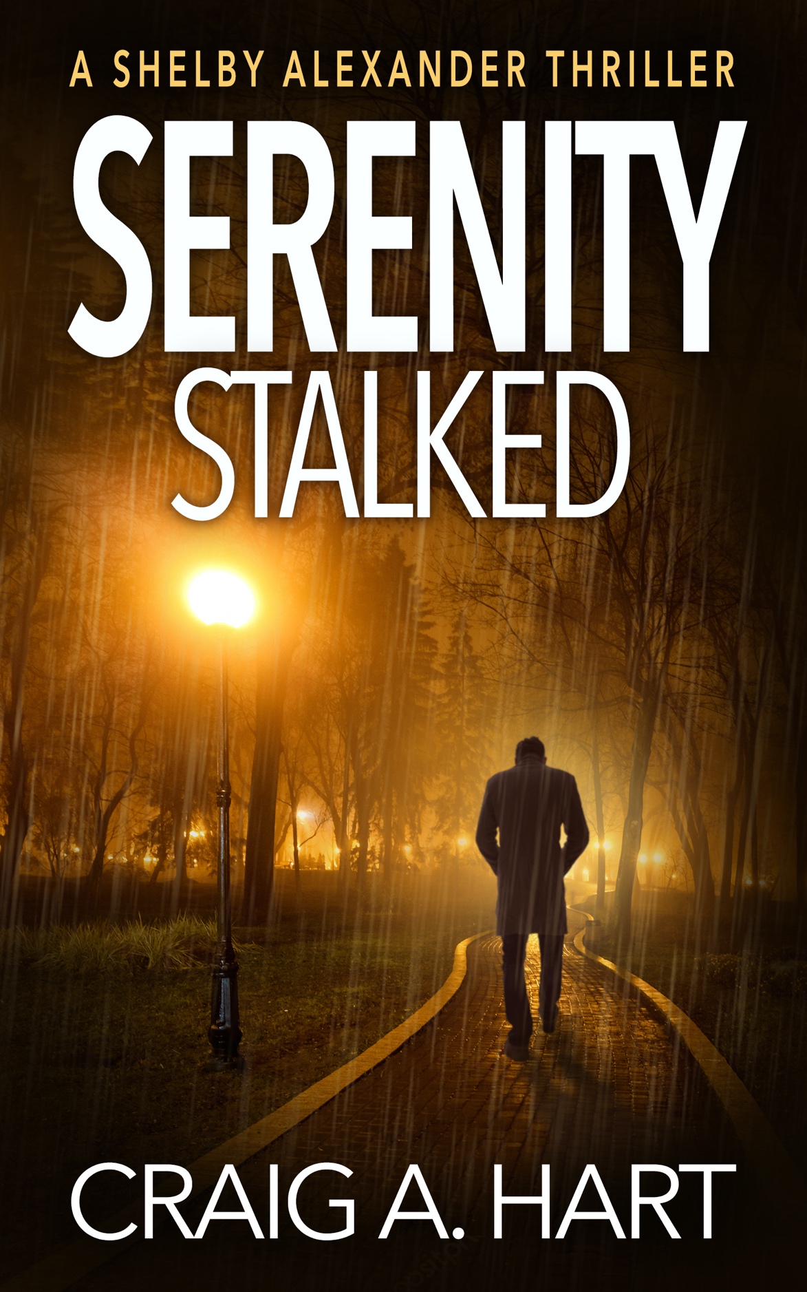 Shelby Alexander book cover 2