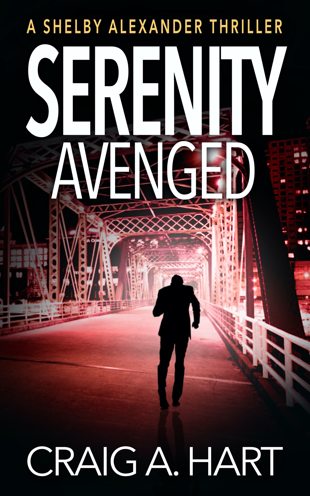 Shelby Alexander book cover 3