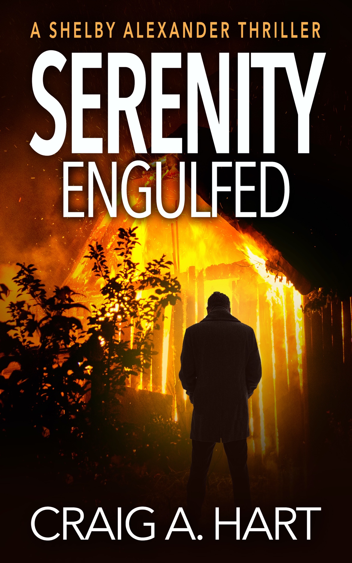 Serenity Engulfed book cover