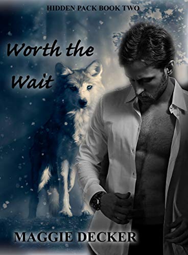 Worth the Wait book cover