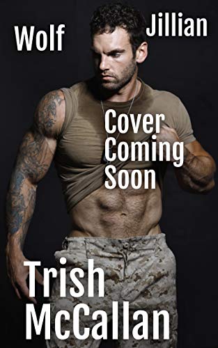 Shadow Warrior book cover