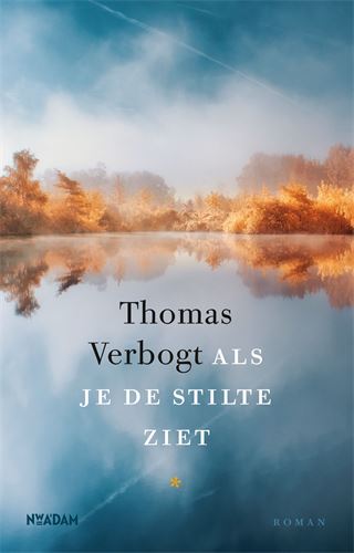 Als je de stilte ziet book cover