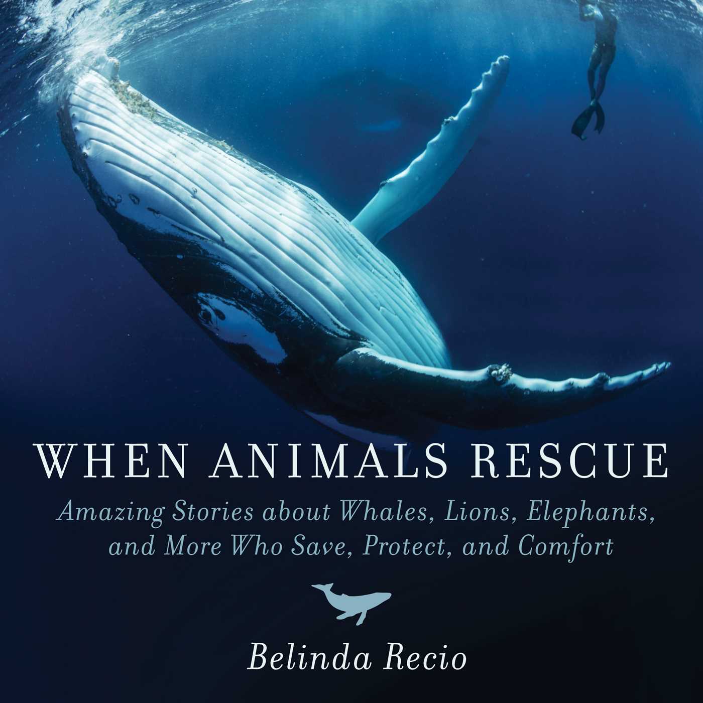 When Animals Rescue Amazing True Stories About Heroic And Helpful 