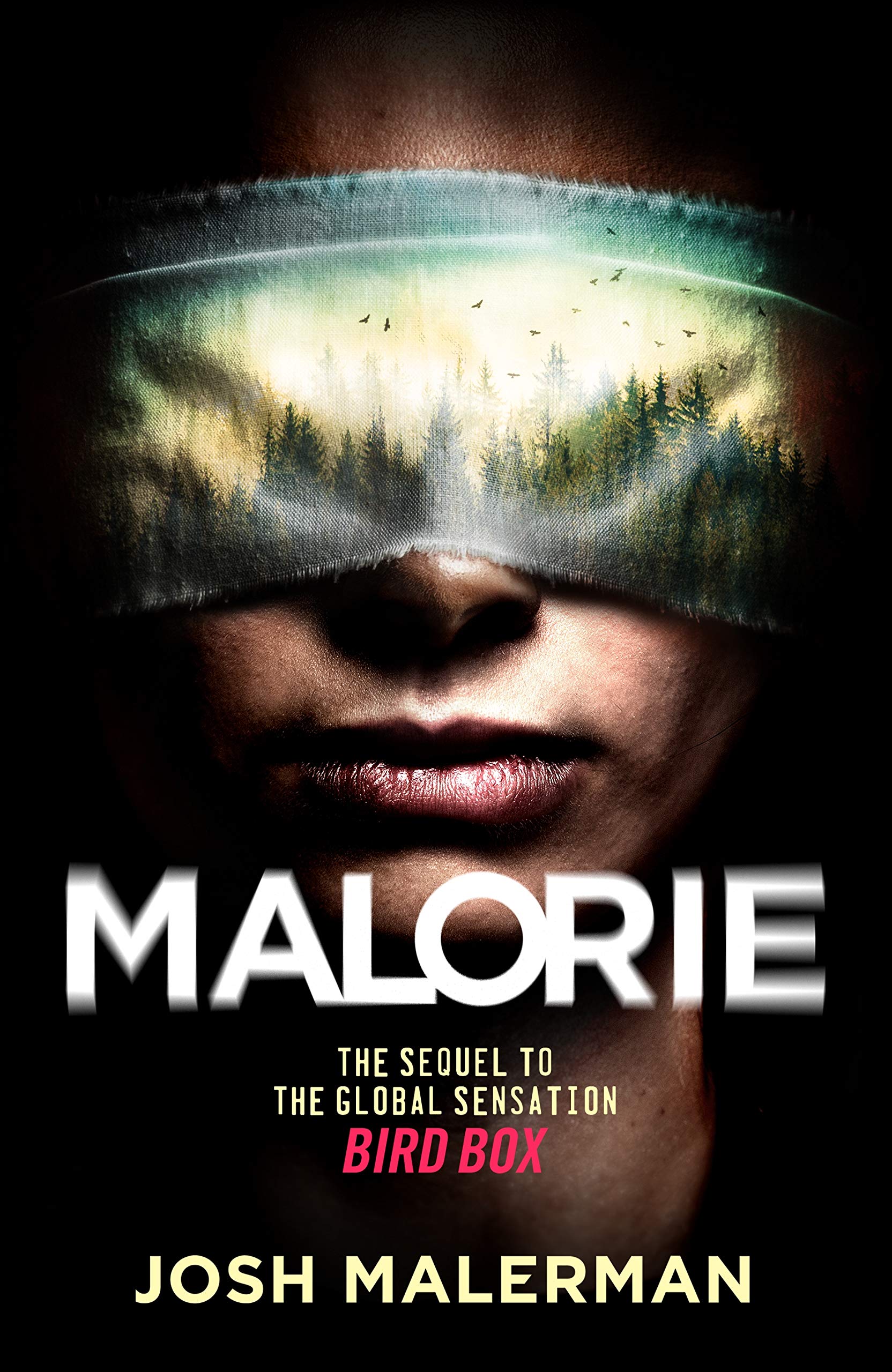 Malorie (Bird Box, #2)