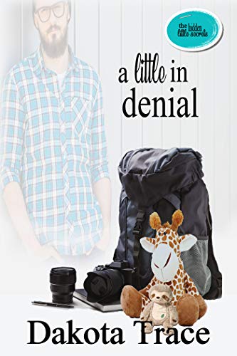 A Little in Denial book cover