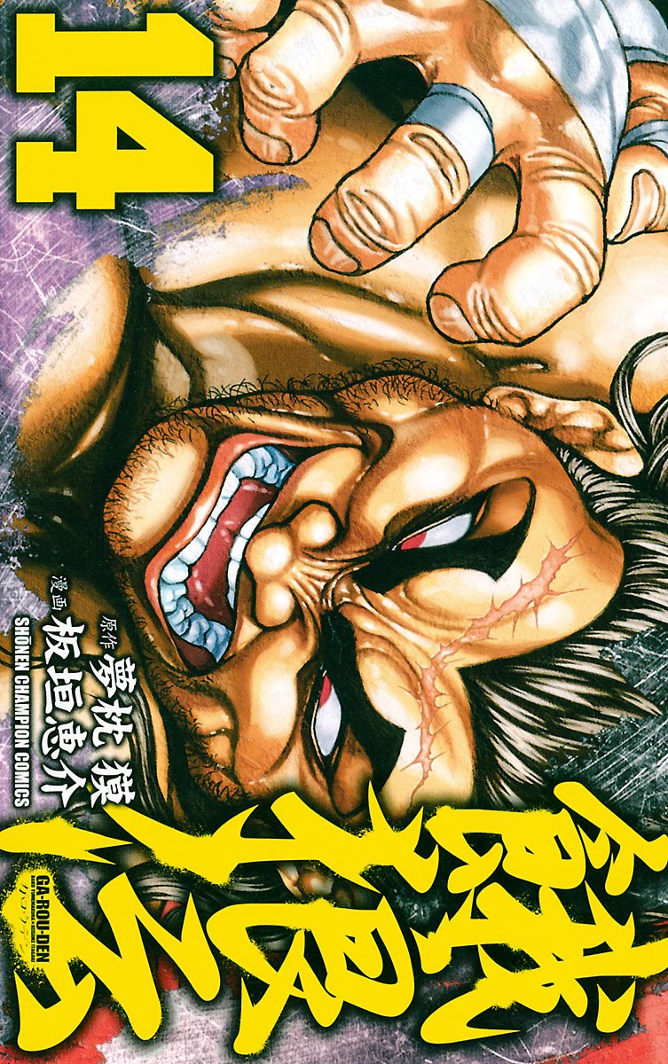 餓狼伝 全巻セット　秘篇　合計14冊セット 71BxH-3qg6L._UF350,350_QL50_.jpg