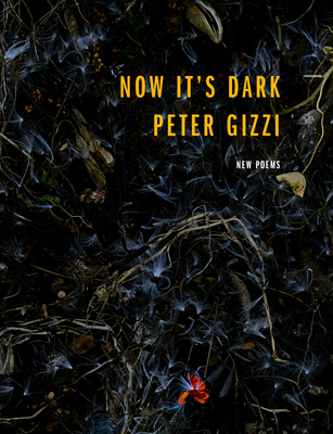 Now It's Dark book cover