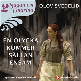 En olycka kommer sällan ensam book cover