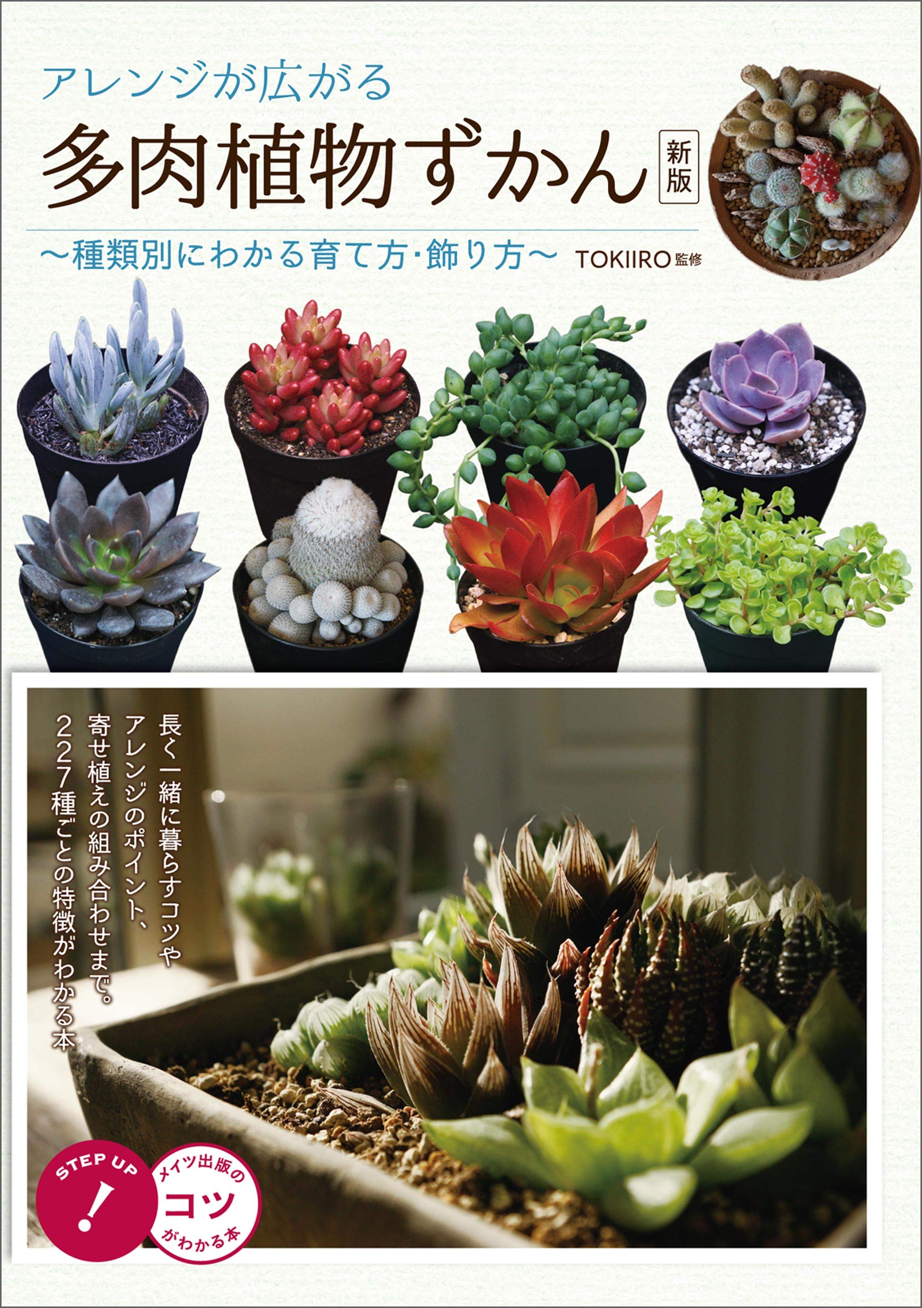 アレンジが広がる 多肉植物ずかん 種類別にわかる育て方 飾り方 新版 コツがわかる本 By Tokiiro Goodreads アレンジが広がる 多肉植物ずかん 種類別にわかる育て方 飾り方 新版 コツがわかる本 By Tokiiro Goodreads