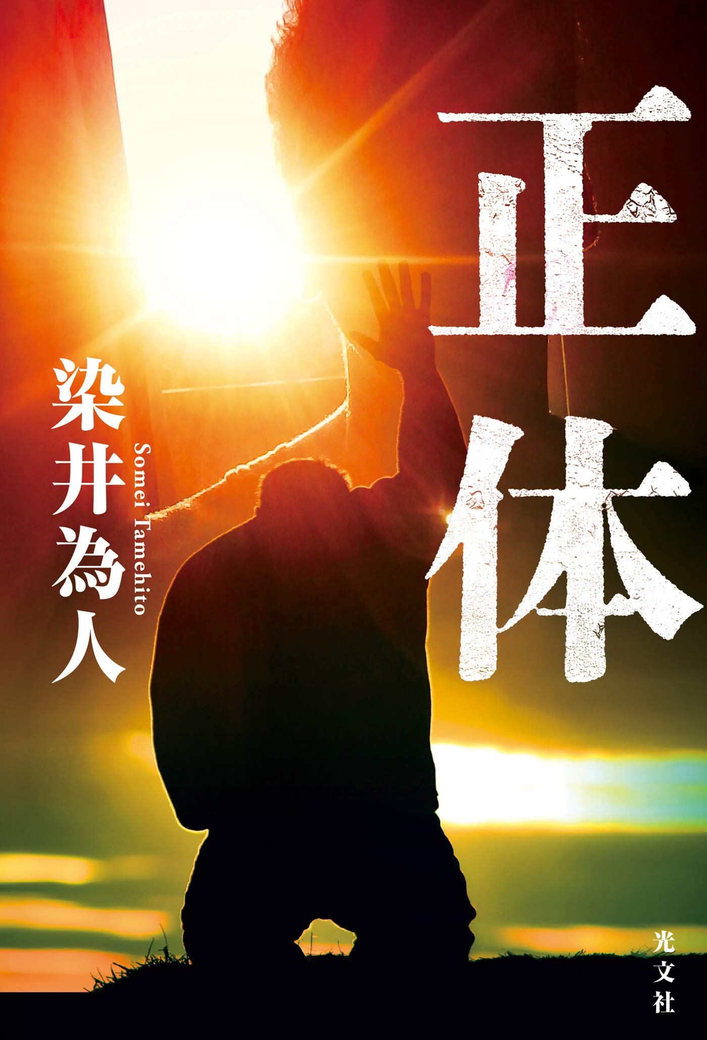 正体 by Tamehito Somei | Goodreads