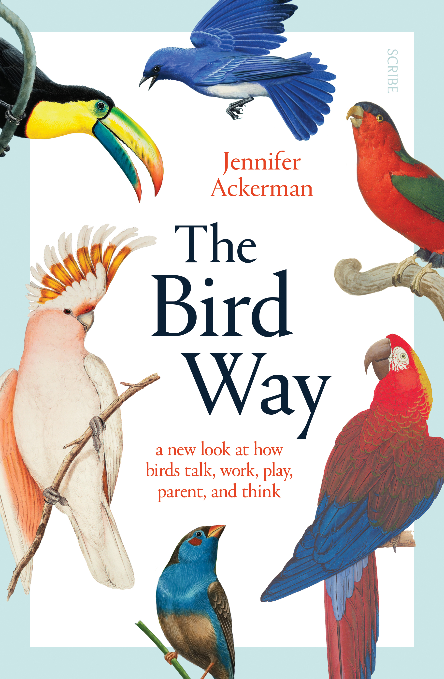 The Bird Way: a new look at how birds talk, work, play, parent, and think