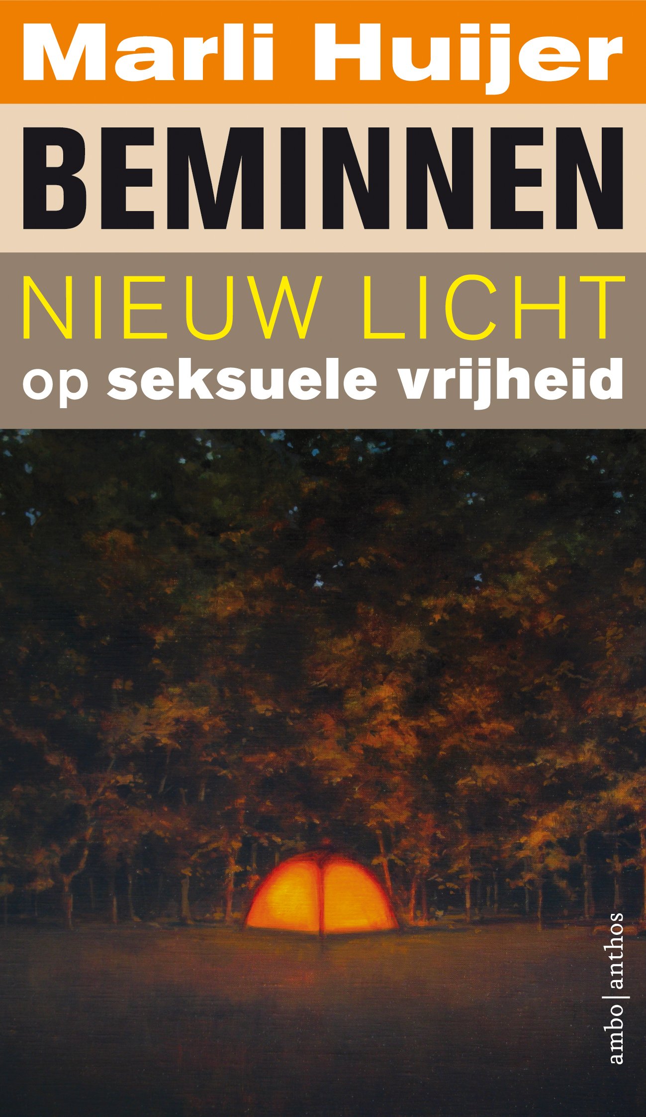 Beminnen book cover