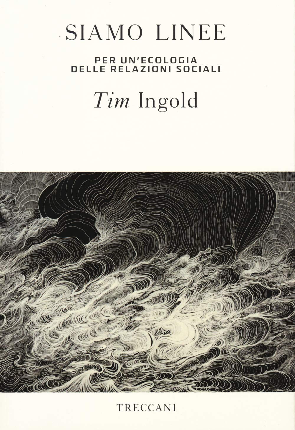 Siamo linee book cover