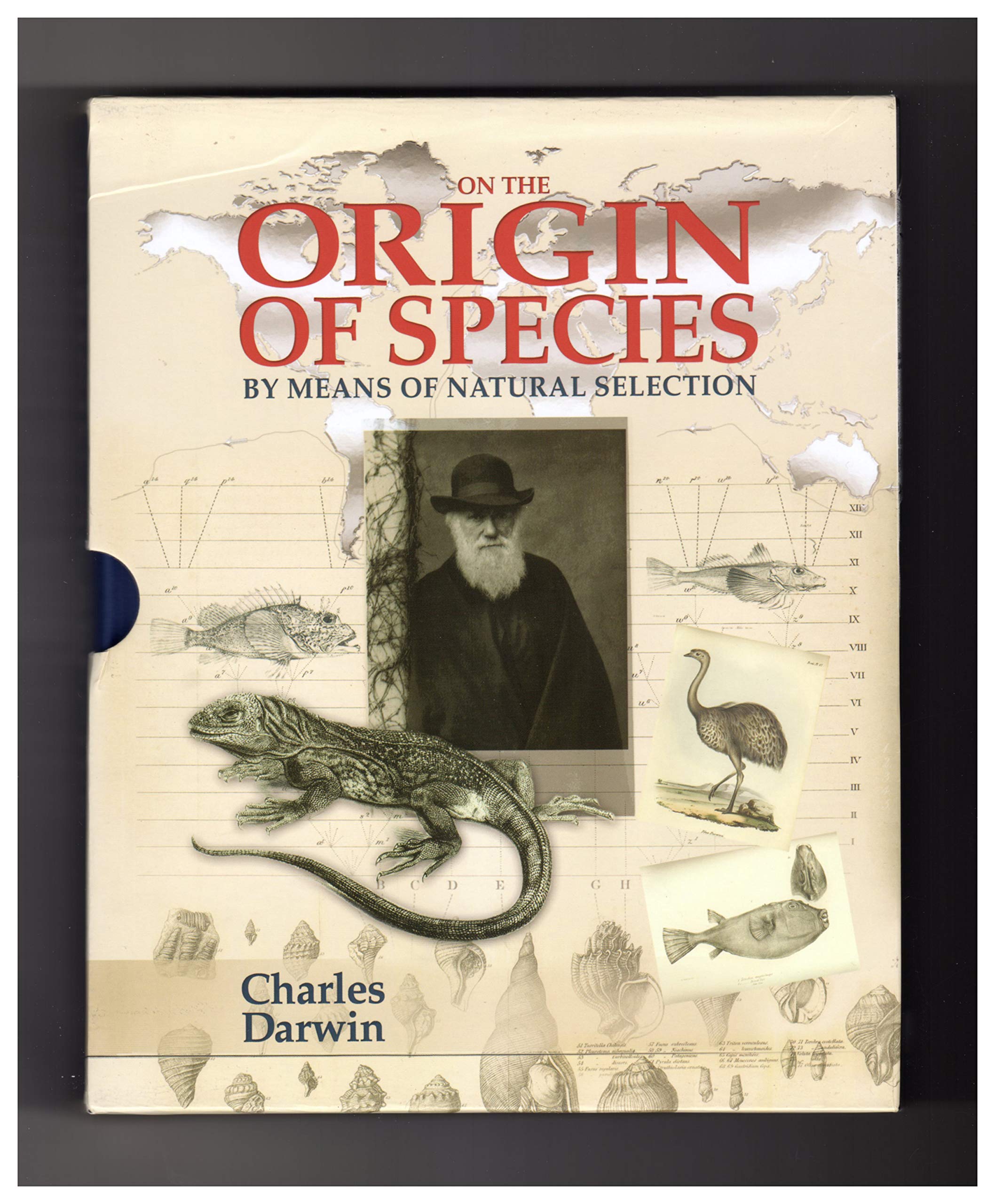 The Origin Of Species By Means Of Natural Selection On the Origin of Species by Means of Natural Selection. 2019 Decorative