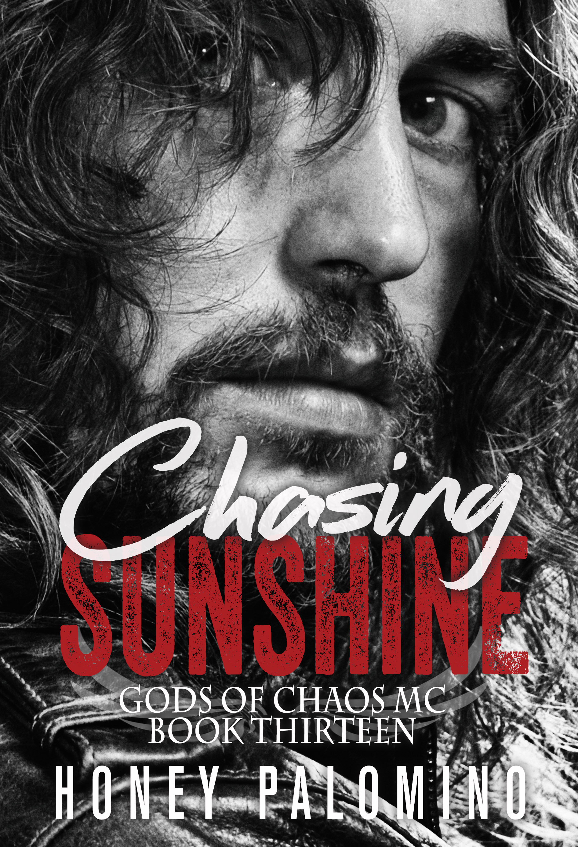 Chasing Sunshine book cover