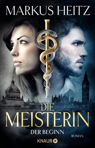 Die Meisterin (Roman-Reihe) book cover 1