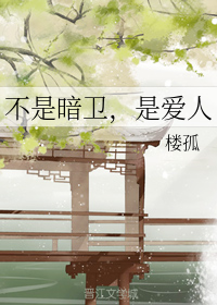 He's Not My Shadow Guard, He’s My Lover [不是暗卫，是爱人]