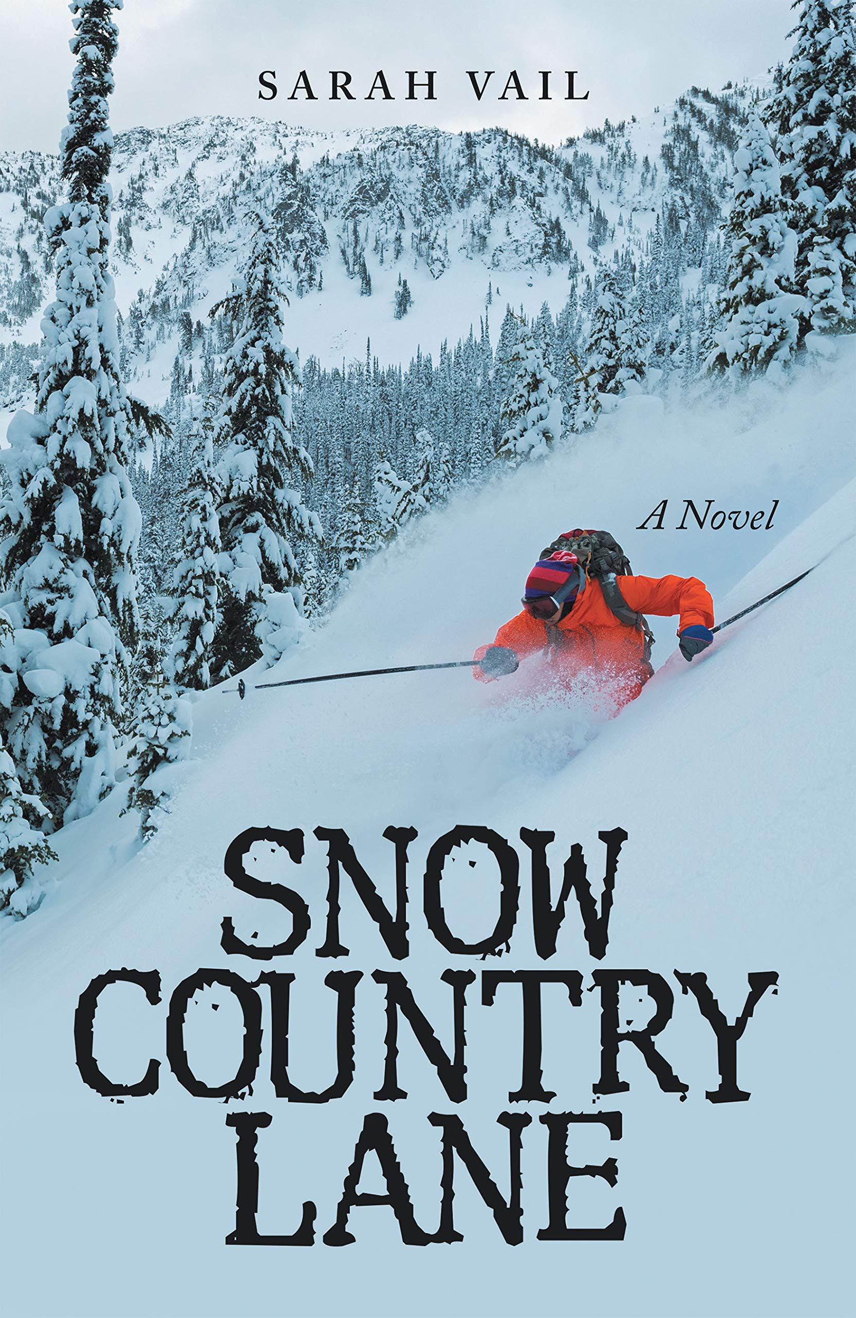 Snow Country Lane (A Riveting Mystery, Crime, and Suspense Thriller - Book 2): A Novel