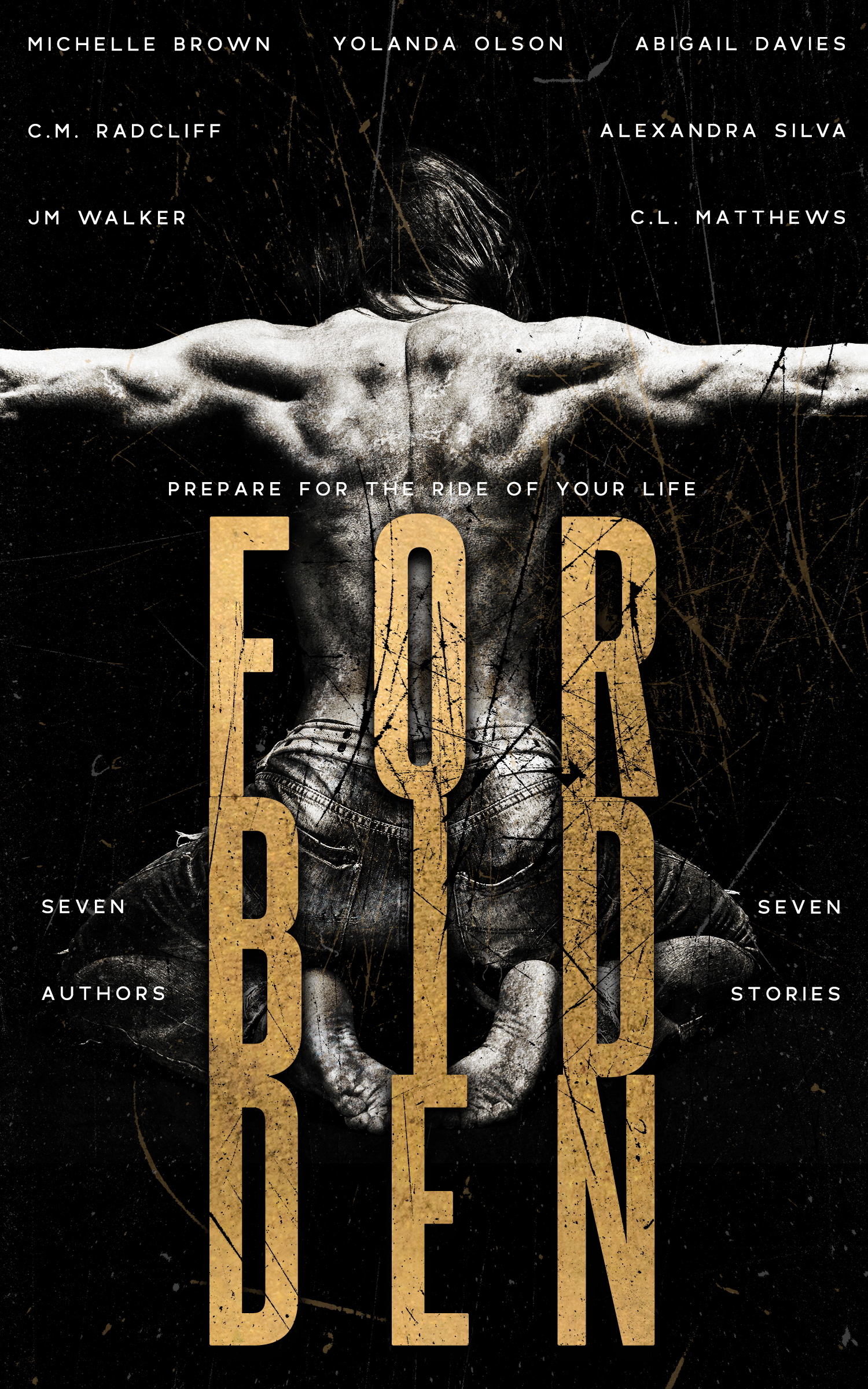 Forbidden book cover