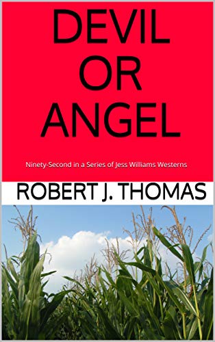 Devil or Angel book cover