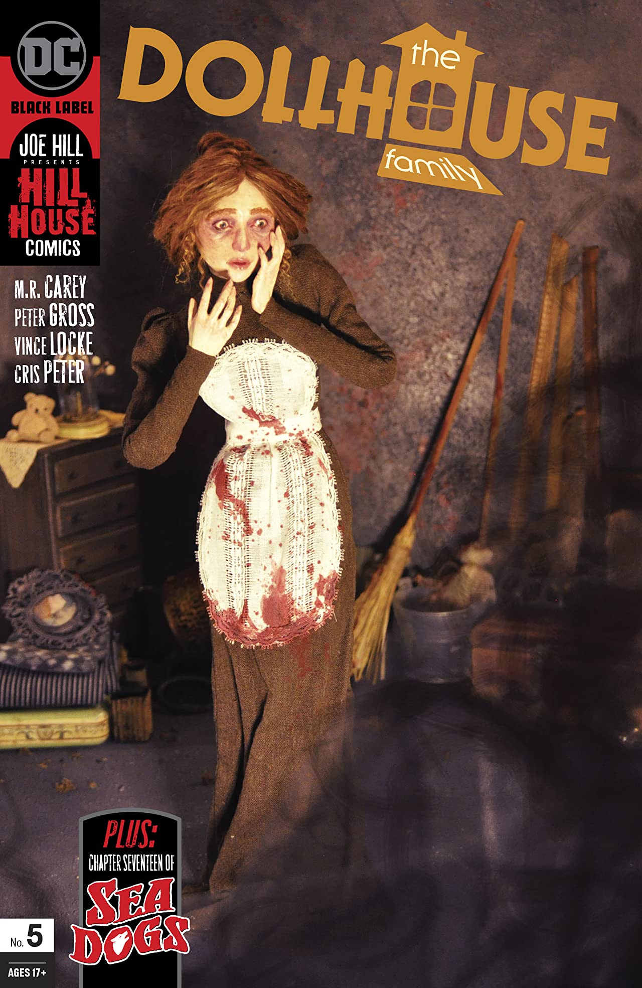 The Dollhouse Family #5 book cover