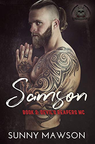 The Devil's Reapers book cover 2