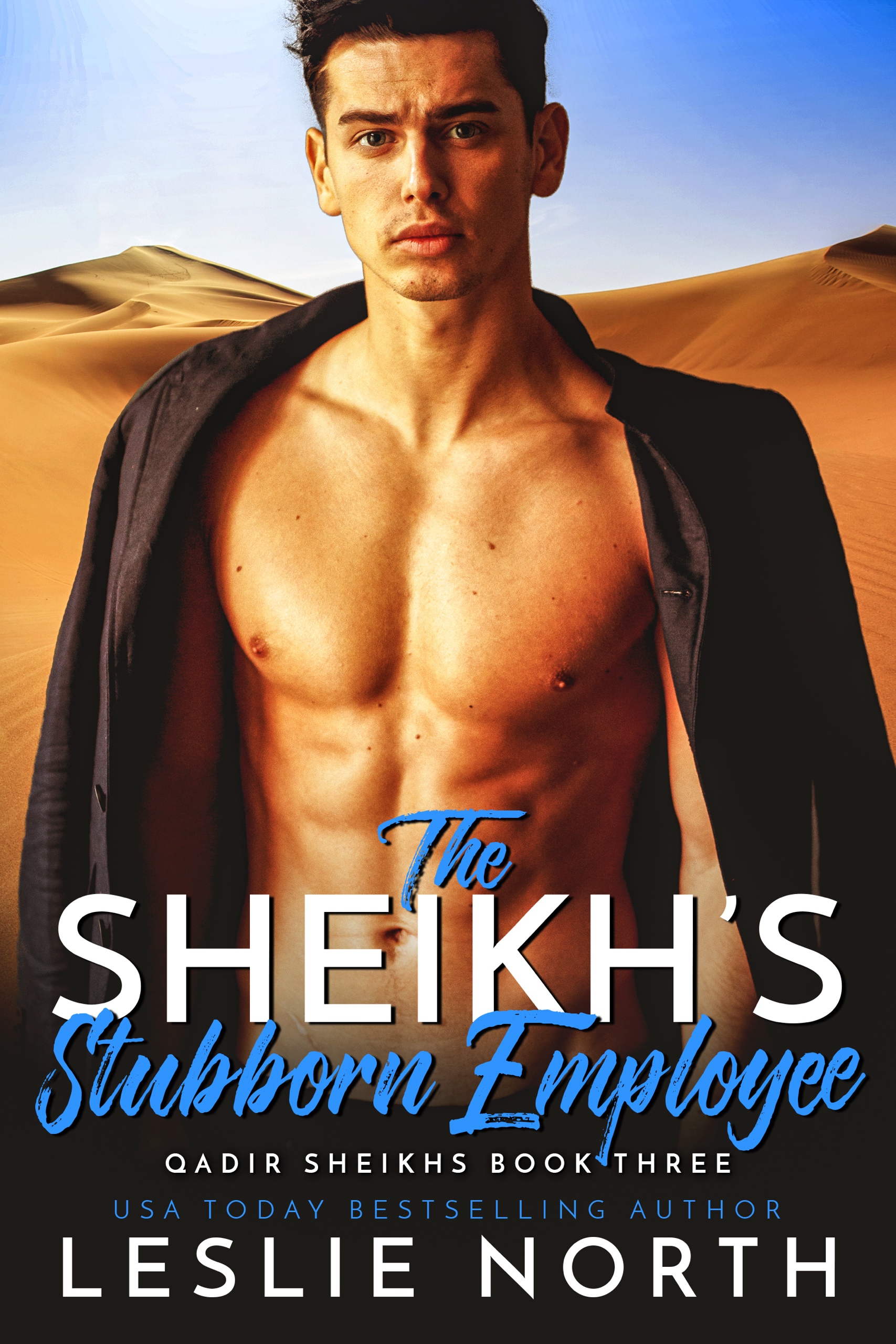 Qadir Sheikhs book cover 3