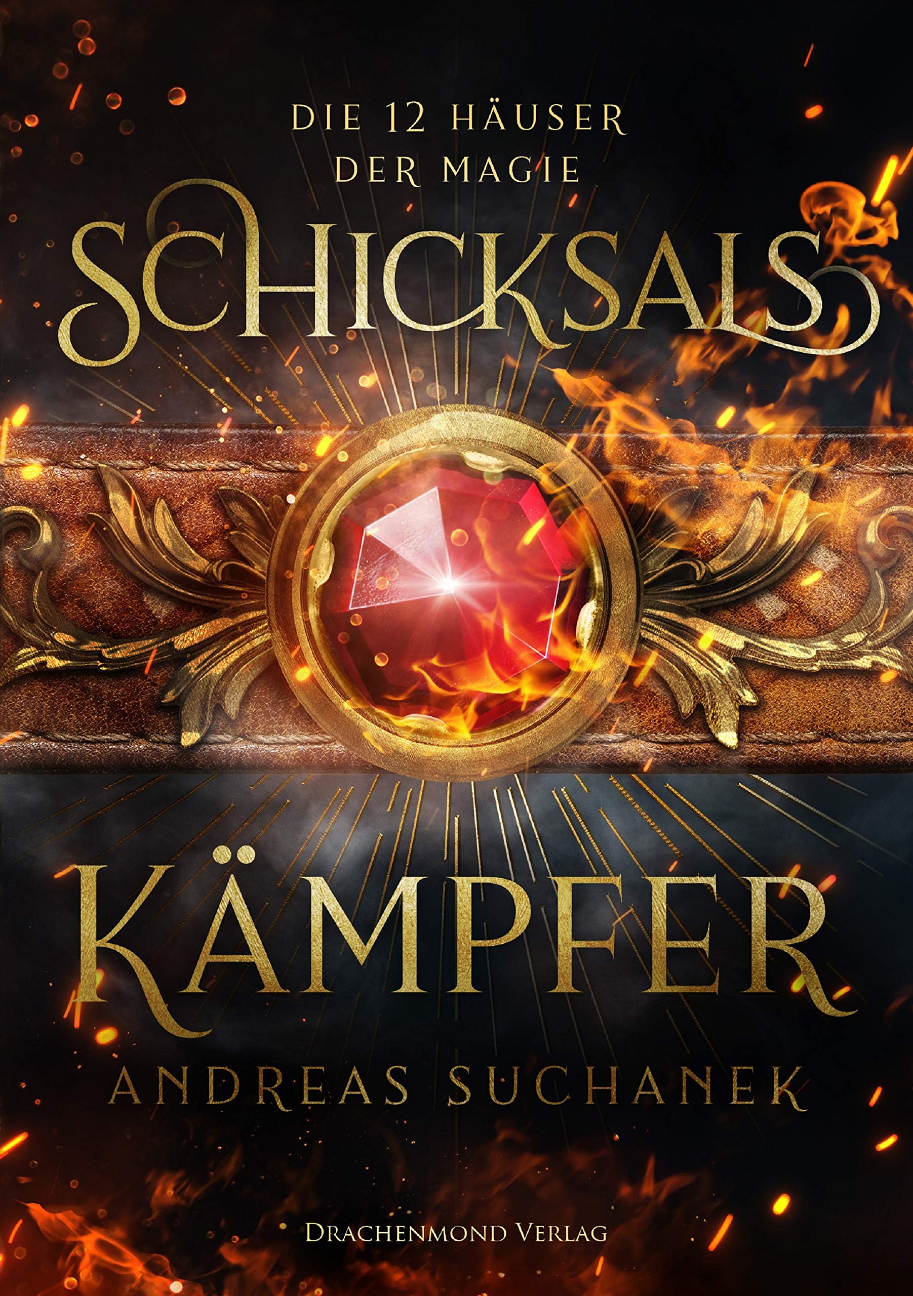 Die 12 Häuser der Magie book cover 2