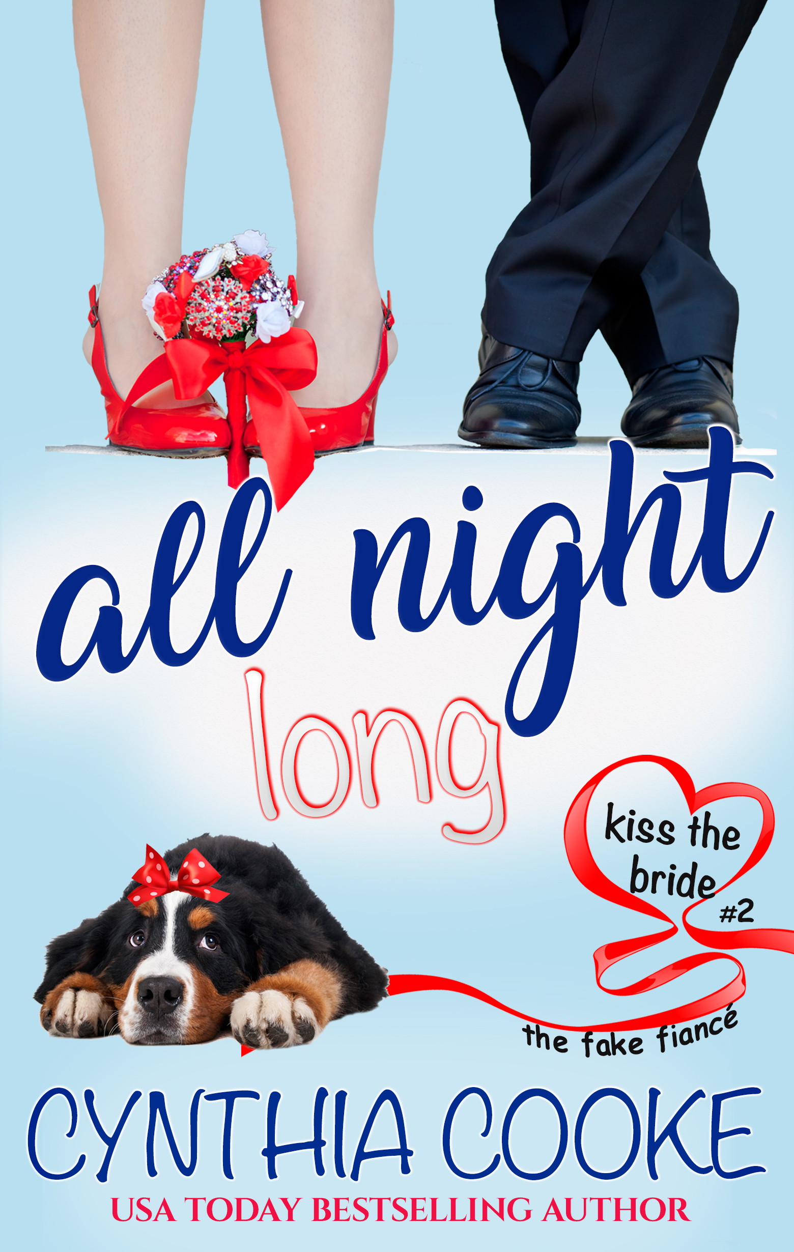 All Night Long book cover