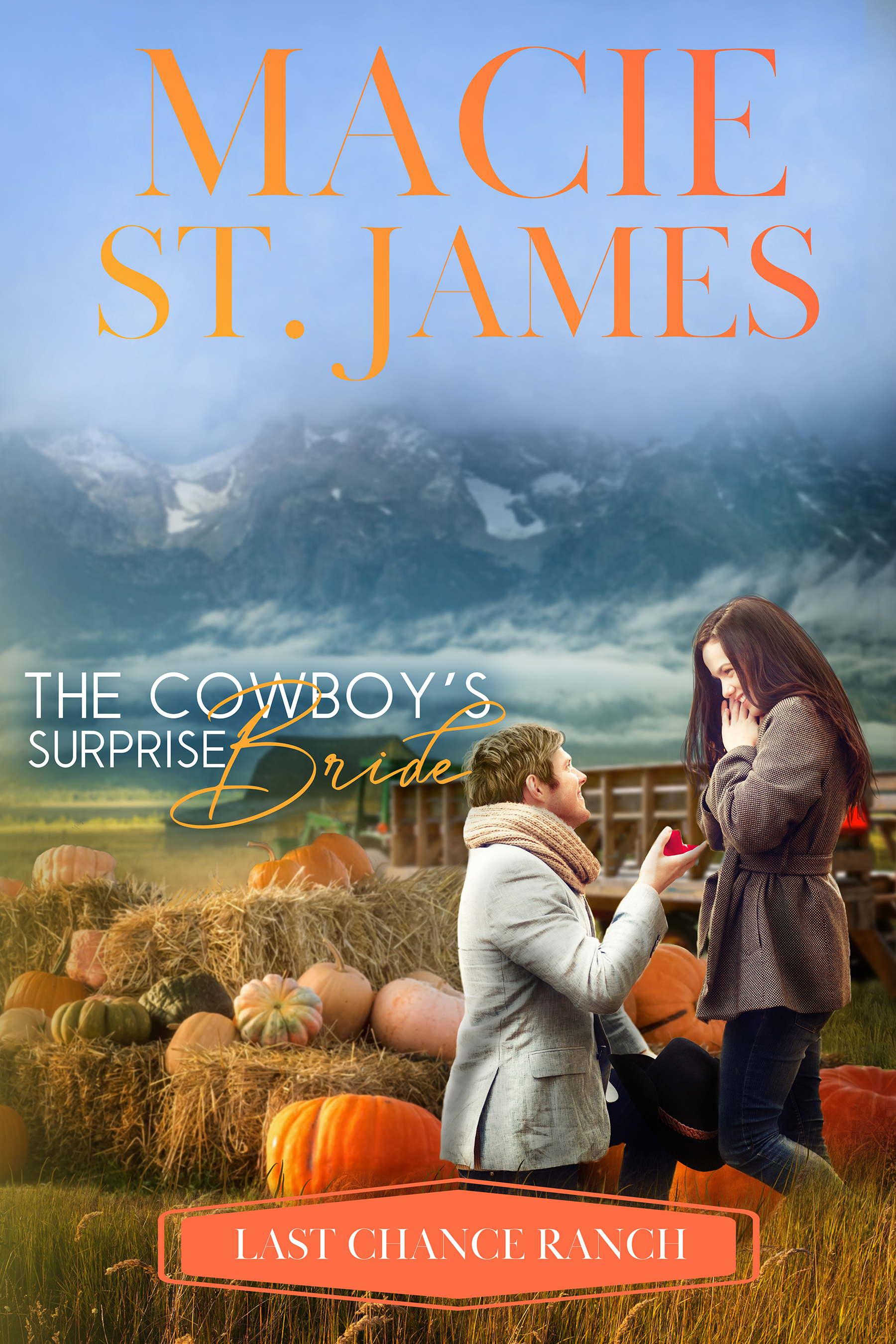 The Cowboy's Surprise Bride book cover