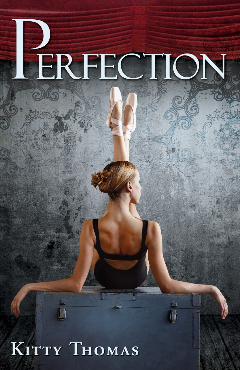 Perfection book cover
