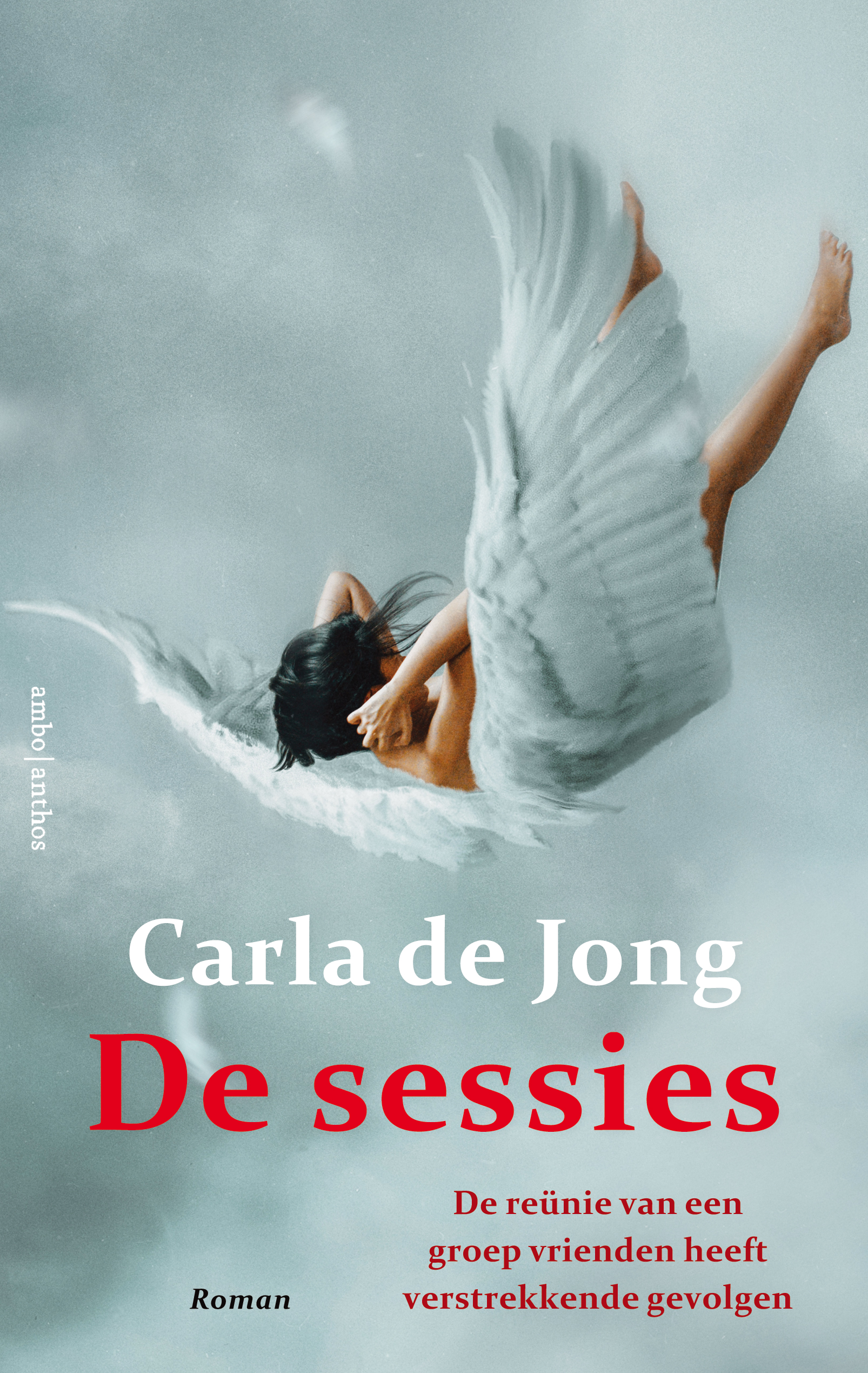 De sessies book cover