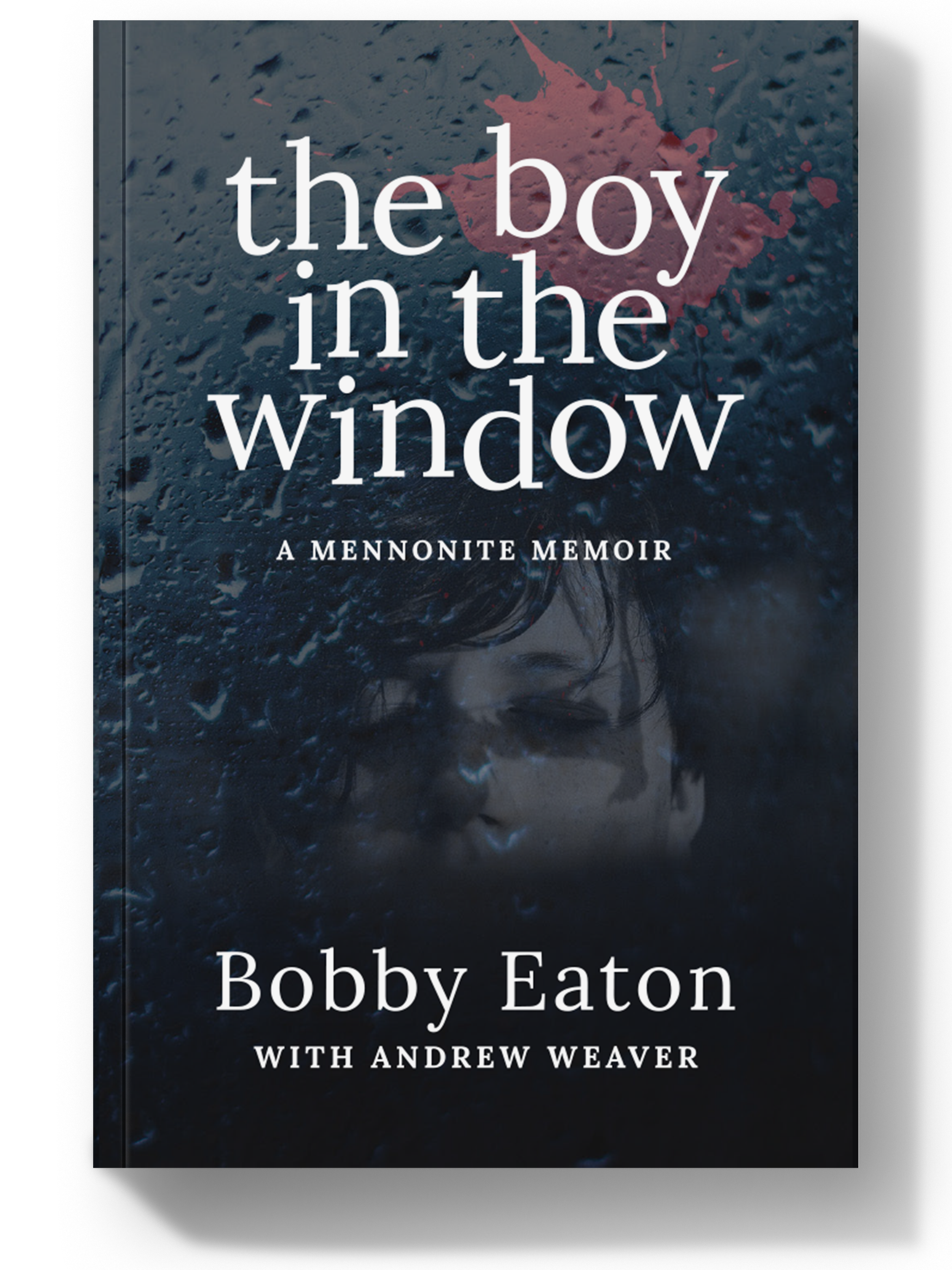 The Boy in the Window: A Mennonite Memoir