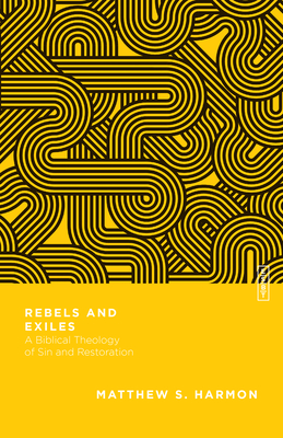 Rebels and Exiles book cover