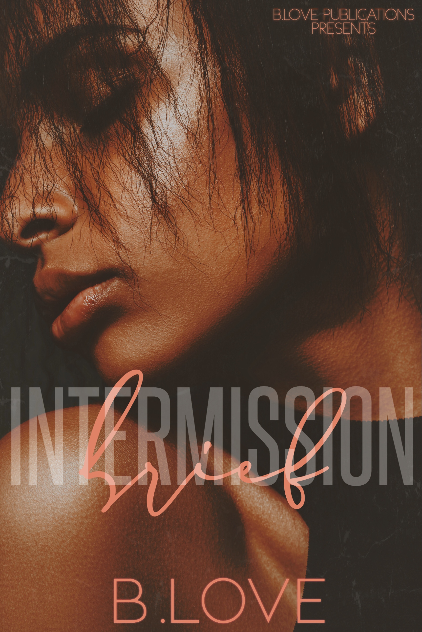 Brief Intermission book cover