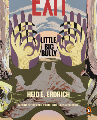 Little Big Bully book cover