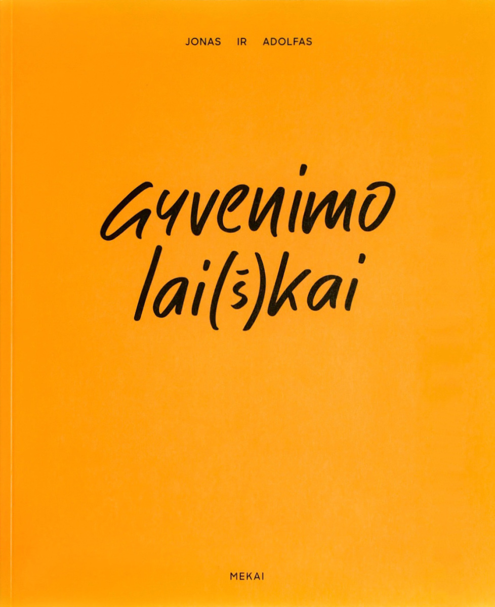 Gyvenimo lai(š)kai